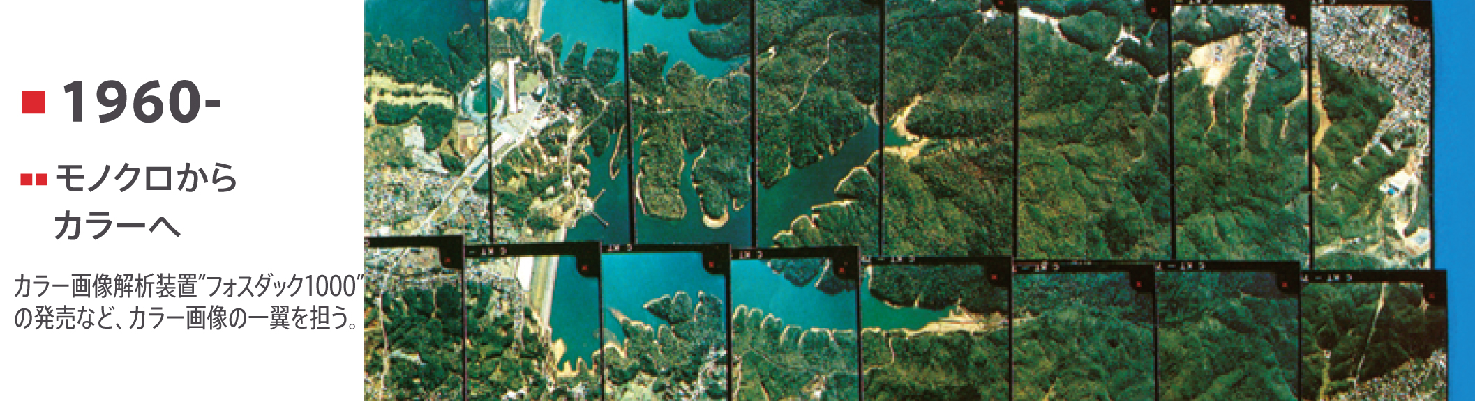 dt_jizugen_colour_b.jpg