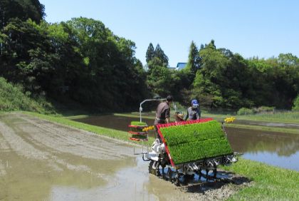 きもとファーム