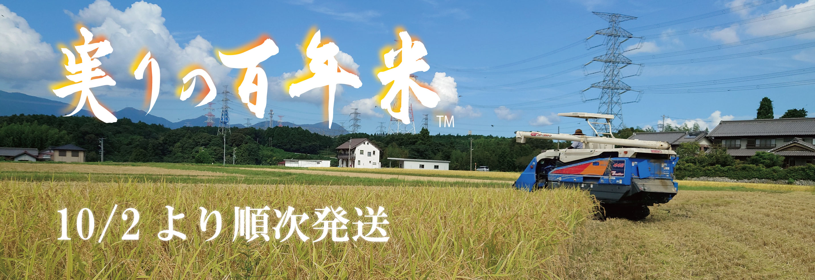 実りの百年米 (1).jpg