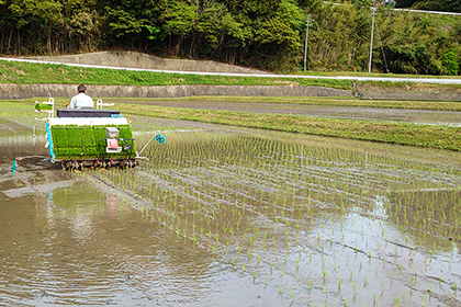 kimotofarm_20220513_03.jpg