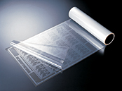kimoto_ph001.jpg